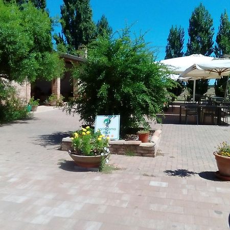 Agriturismo I Bosconi チェゼーナ エクステリア 写真