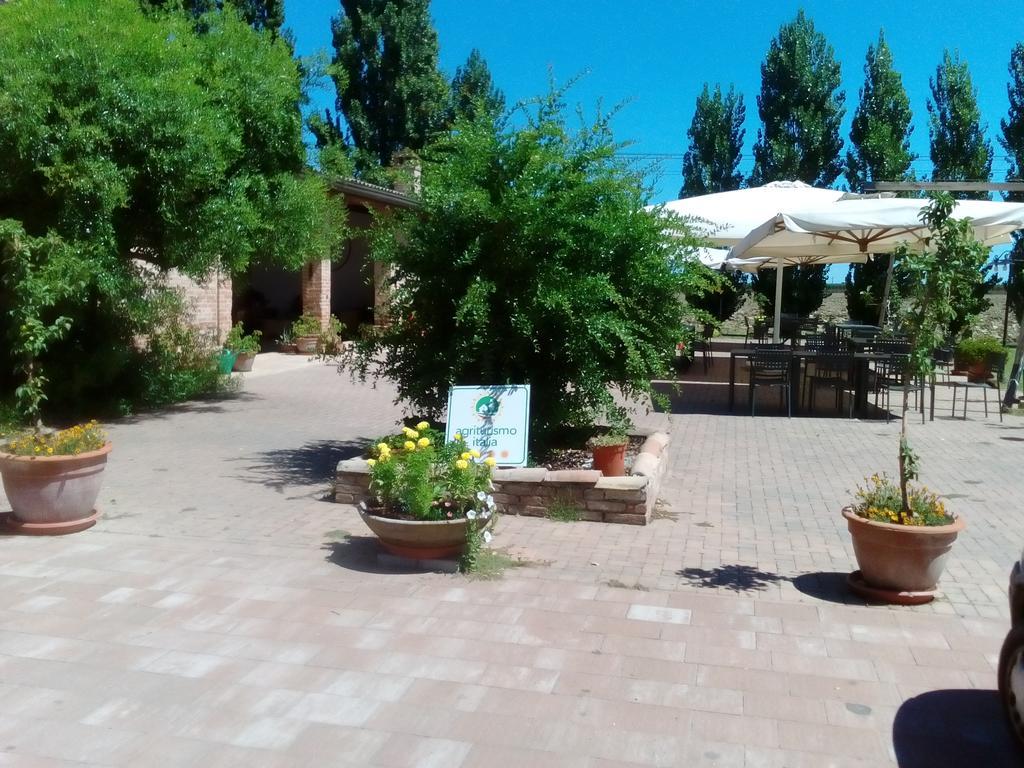 Agriturismo I Bosconi チェゼーナ エクステリア 写真
